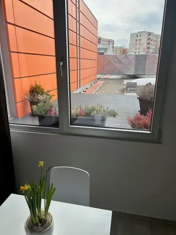 Pronájem kanceláře, České Budějovice, České Vrbné, 22 m2