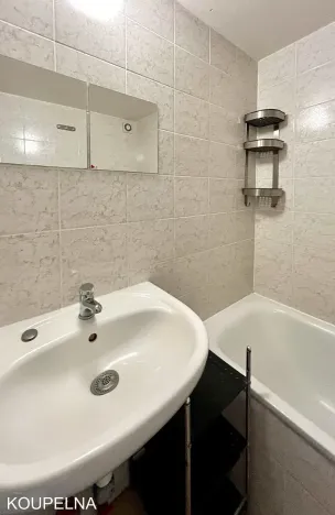 Pronájem bytu 1+kk, Brno, Mendlovo náměstí, 22 m2