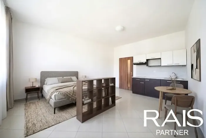Prodej bytu 1+kk, Brno, Tišnovská, 29 m2