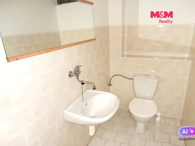 Pronájem obchodního prostoru, Ostrava - Mariánské Hory, Karasova, 335 m2