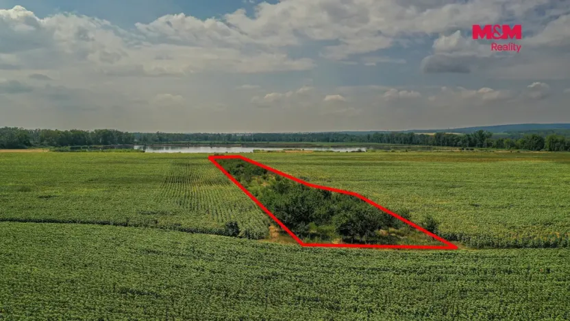 Prodej pole, Zaječí, 14490 m2