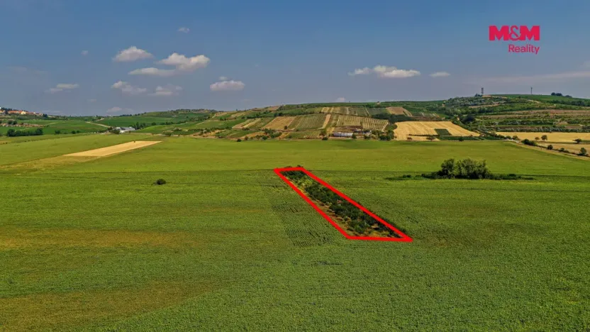 Prodej pole, Zaječí, 14490 m2
