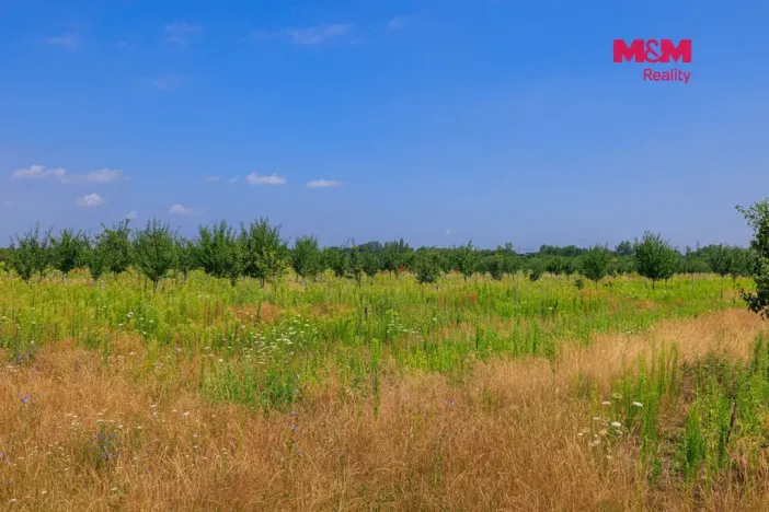 Prodej pole, Rakvice, 21280 m2