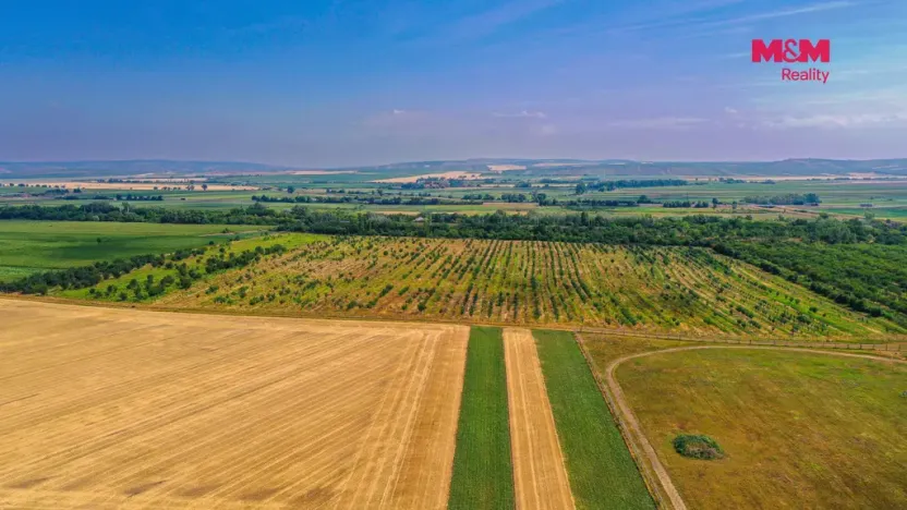 Prodej pole, Rakvice, 21280 m2