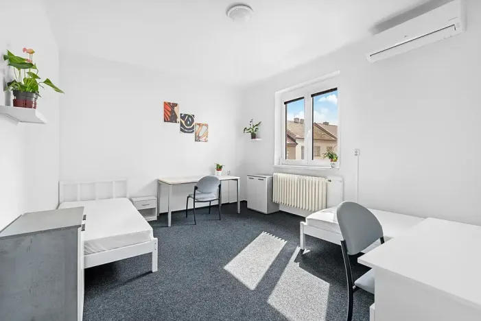 Pronájem - jiné, Brno, Jelínkova, 89 m2