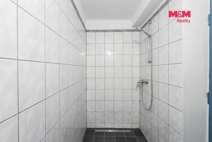 Prodej ubytování, Dívčice - Zbudov, 180 m2