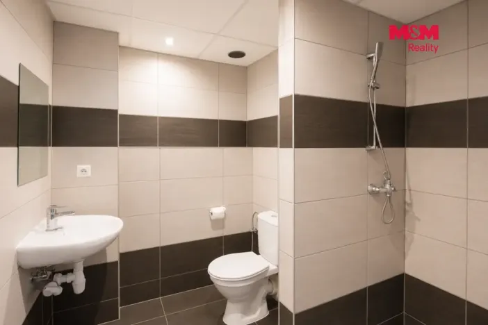 Pronájem bytu 1+kk, Hradec Králové, Sušilova, 32 m2