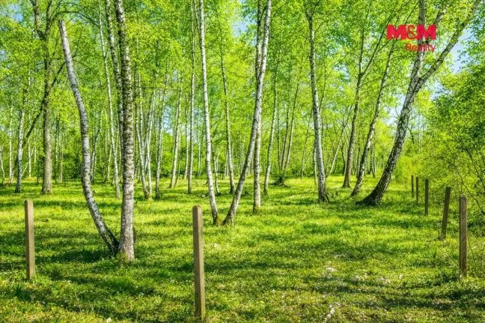 Prodej pozemku pro bydlení, Hradištko, 3825 m2