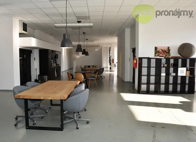 Pronájem kanceláře, Ostrava, Cihelní, 701 m2