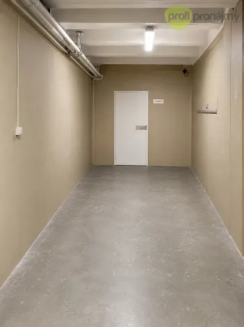 Pronájem skladu, Ostrava, Cihelní, 74 m2