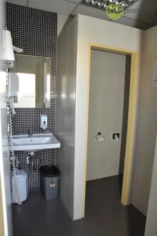 Pronájem výrobních prostor, Ostrava, Cihelní, 701 m2