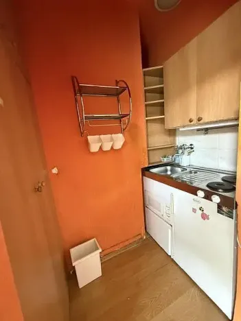 Pronájem bytu 1+kk, Ostrava - Poruba, Větrná, 18 m2