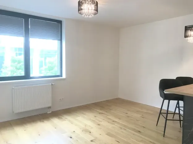 Pronájem bytu 2+kk, Praha - Smíchov, Holečkova, 56 m2
