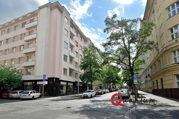 Pronájem bytu 1+kk, Praha - Žižkov, Baranova, 29 m2