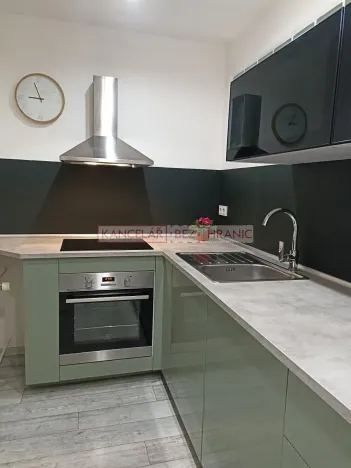 Pronájem bytu 1+1, Ostrava, U Haldy, 40 m2