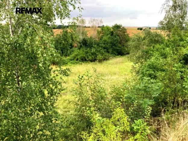 Prodej pozemku, Číčovice, 5606 m2