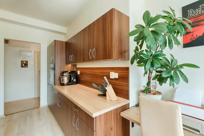Prodej bytu 1+1, Praha - Braník, Branická, 46 m2