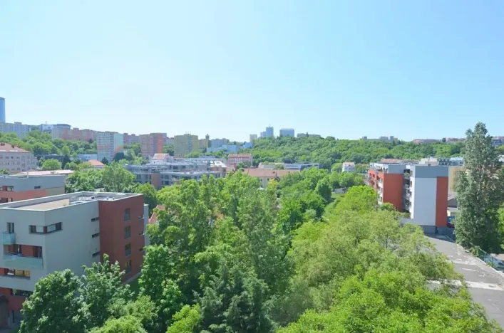 Pronájem bytu 3+1, Praha - Michle, U Botiče, 78 m2