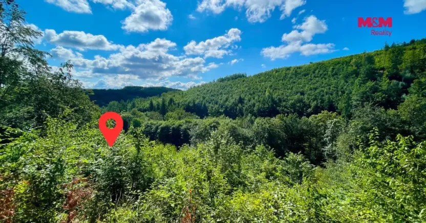 Prodej lesa, Hranice - Hranice IX-Uhřínov, 5050 m2