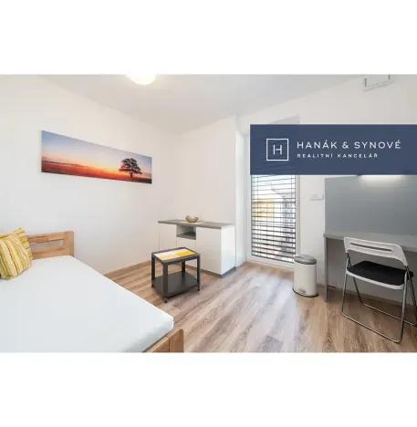Pronájem bytu 1+kk, Brno, Křenová, 20 m2