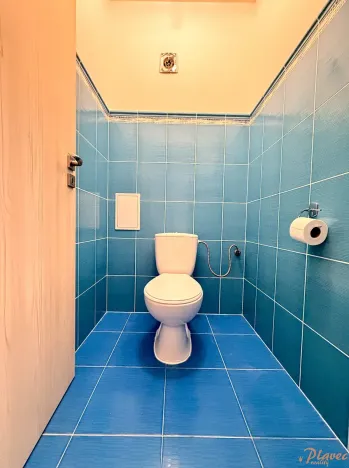 Pronájem bytu 2+kk, Holubice, 67 m2