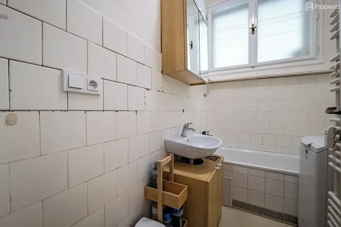 Prodej bytu 1+1, Brno, Pod kaštany, 49 m2