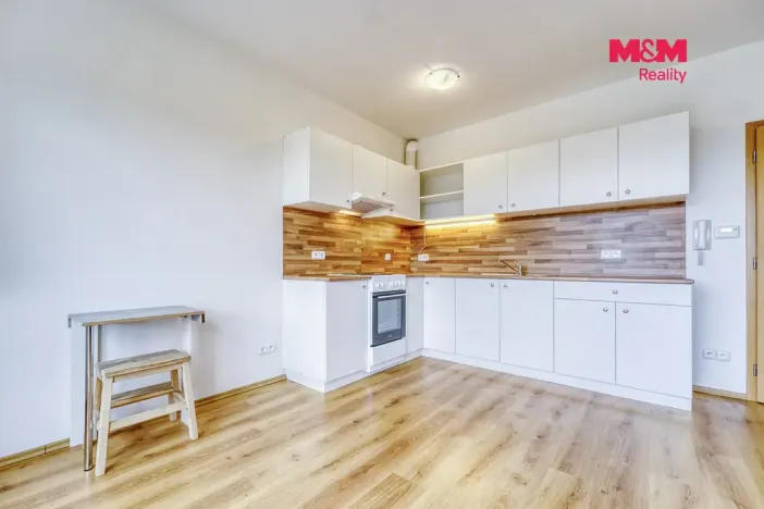 Pronájem bytu 1+kk, Plasy, U Václava, 38 m2