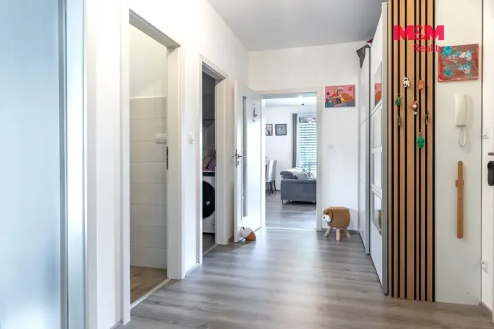 Prodej bytu 3+kk, České Budějovice - České Budějovice 5, I. Olbrachta, 65 m2