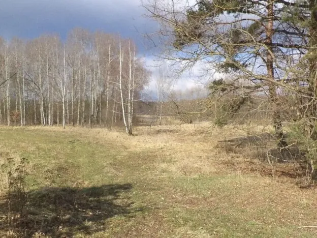 Prodej pozemku, Lužnice, 117 m2