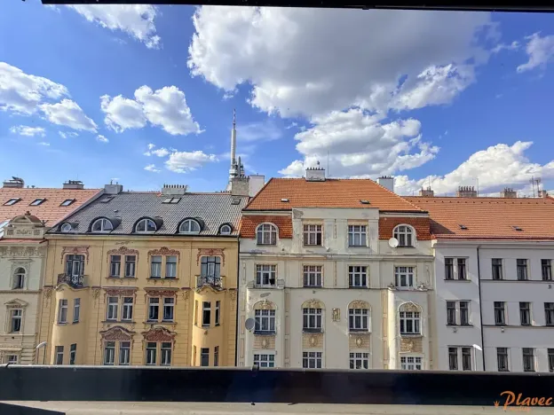 Pronájem bytu 2+kk, Praha - Vinohrady, Přemyslovská, 61 m2