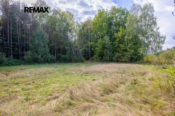 Prodej pozemku pro bydlení, Suchdol nad Lužnicí, 1001 m2