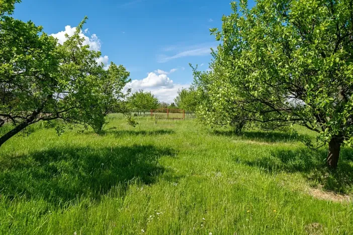 Prodej vily, Hranice, Zahradní, 633 m2