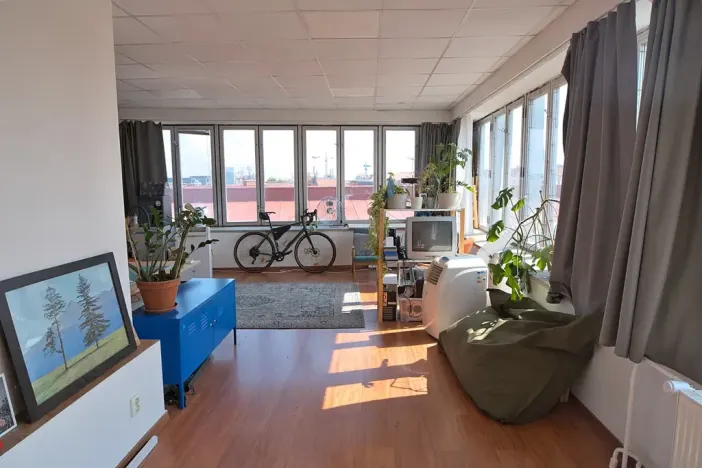 Pronájem kanceláře, Brno, Jánská, 41 m2