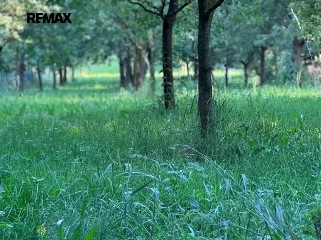 Prodej pozemku pro bydlení, Podolí, 1608 m2