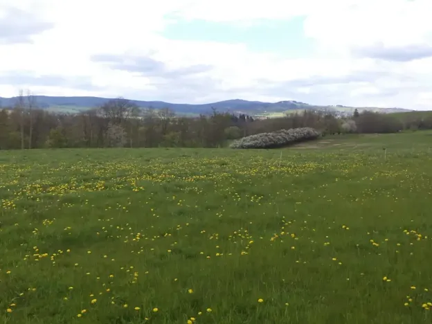 Dražba louky, Staré Město, 10063 m2