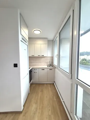 Prodej bytu 1+kk, Praha - Karlín, Nekvasilova, 29 m2
