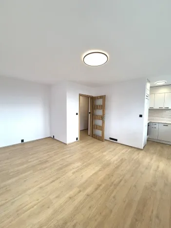 Prodej bytu 1+kk, Praha - Karlín, Nekvasilova, 29 m2