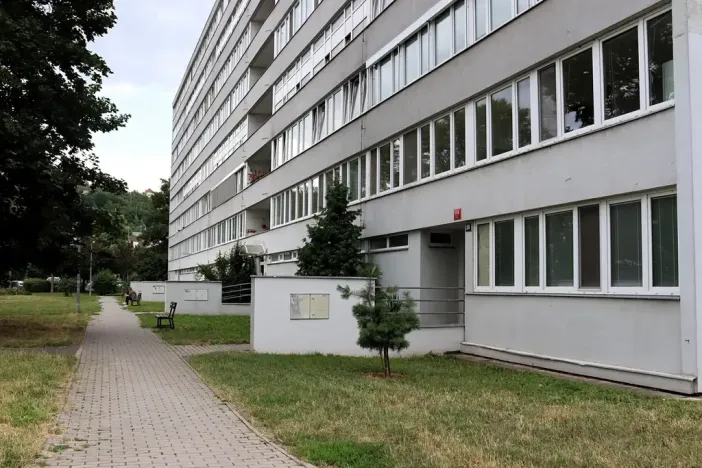 Prodej bytu 1+kk, Praha - Karlín, Nekvasilova, 29 m2
