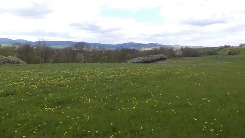 Prodej pozemku, Staré Město - Nová Véska, 10063 m2