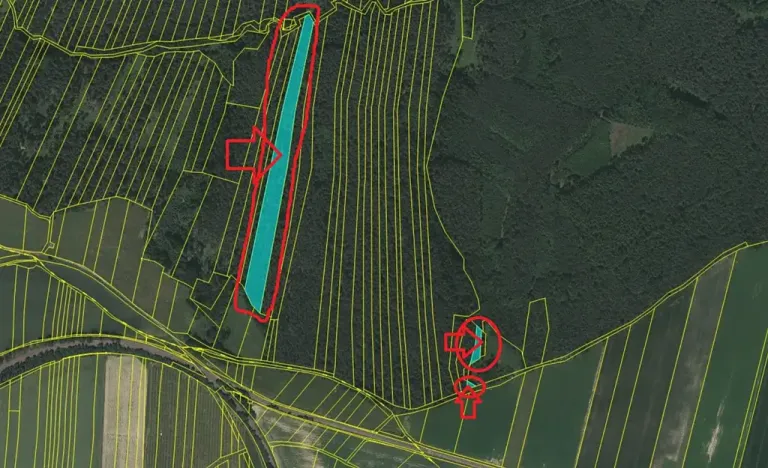 Prodej lesa, Všemyslice, 12022 m2