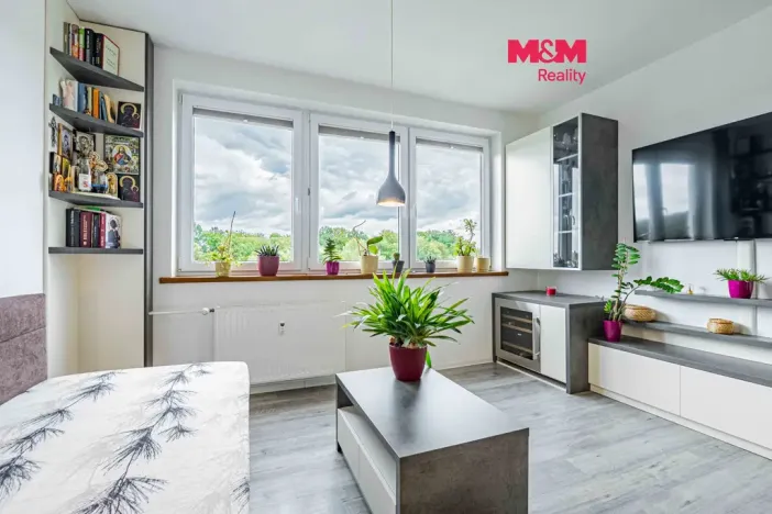 Prodej bytu 1+kk, Havířov - Šumbark, Letní, 30 m2