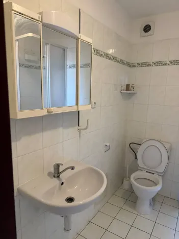 Pronájem bytu 1+kk, České Budějovice, Skuherského, 42 m2
