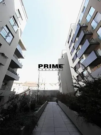 Pronájem bytu 2+kk, Praha - Žižkov, Prokopova, 72 m2
