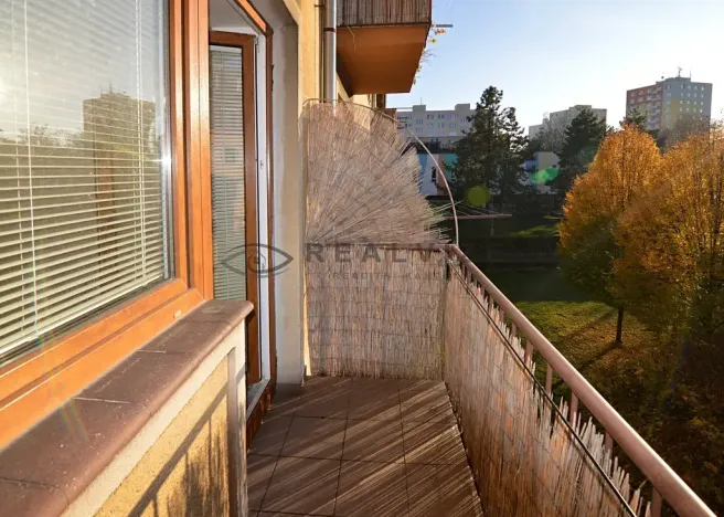 Pronájem bytu 2+1, České Budějovice, Puklicova, 62 m2