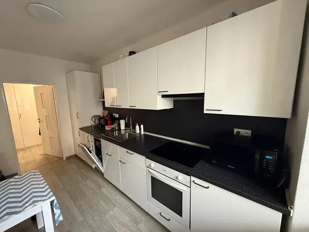 Pronájem bytu 1+1, Opava, Na Rybníčku, 38 m2