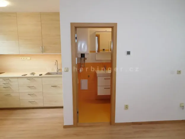 Pronájem bytu 1+kk, Šlapanice, Masarykovo náměstí, 23 m2