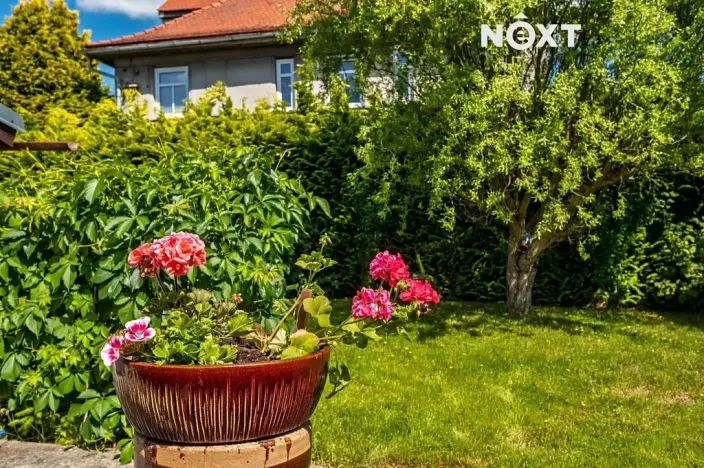 Prodej rodinného domu, Cvikov, Nová, 169 m2