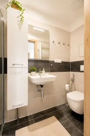 Prodej bytu 1+kk, Loučná pod Klínovcem, 35 m2
