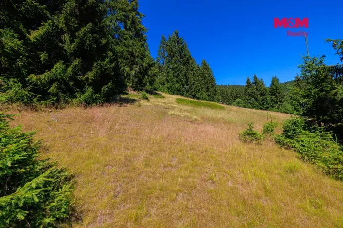 Prodej pozemku pro bydlení, Nové Hamry, 776 m2