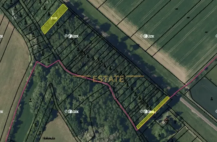 Prodej lesa, Bezměrov, 1621 m2